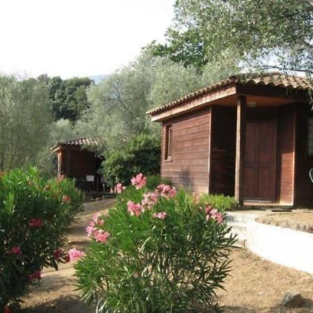 Gites Chalets De Grosseto-Prugna Exteriér fotografie