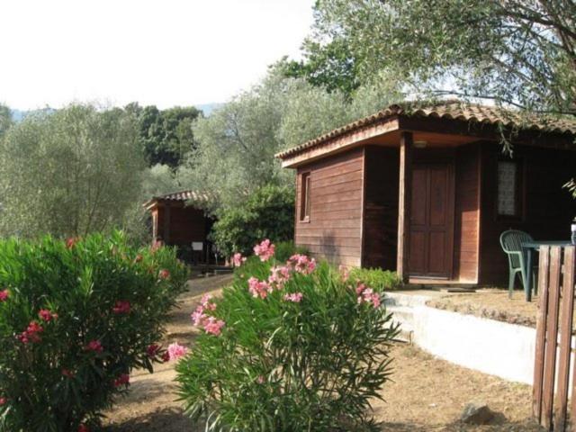 Gites Chalets De Grosseto-Prugna Exteriér fotografie