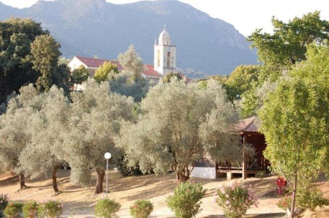 Gites Chalets De Grosseto-Prugna Exteriér fotografie