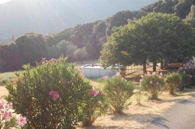 Gites Chalets De Grosseto-Prugna Exteriér fotografie