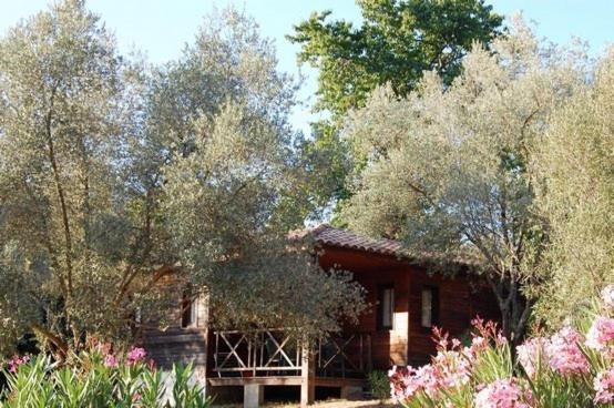 Gites Chalets De Grosseto-Prugna Exteriér fotografie