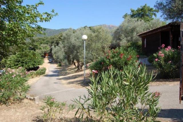 Gites Chalets De Grosseto-Prugna Exteriér fotografie